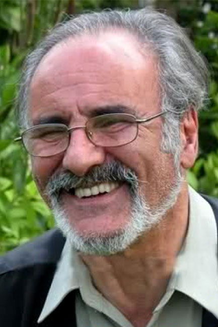 et billede af Fereydoun Gole