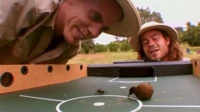 Wildboyz
