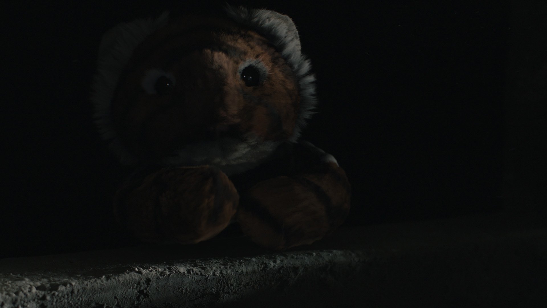 Tigers Are Not Afraid (2017)