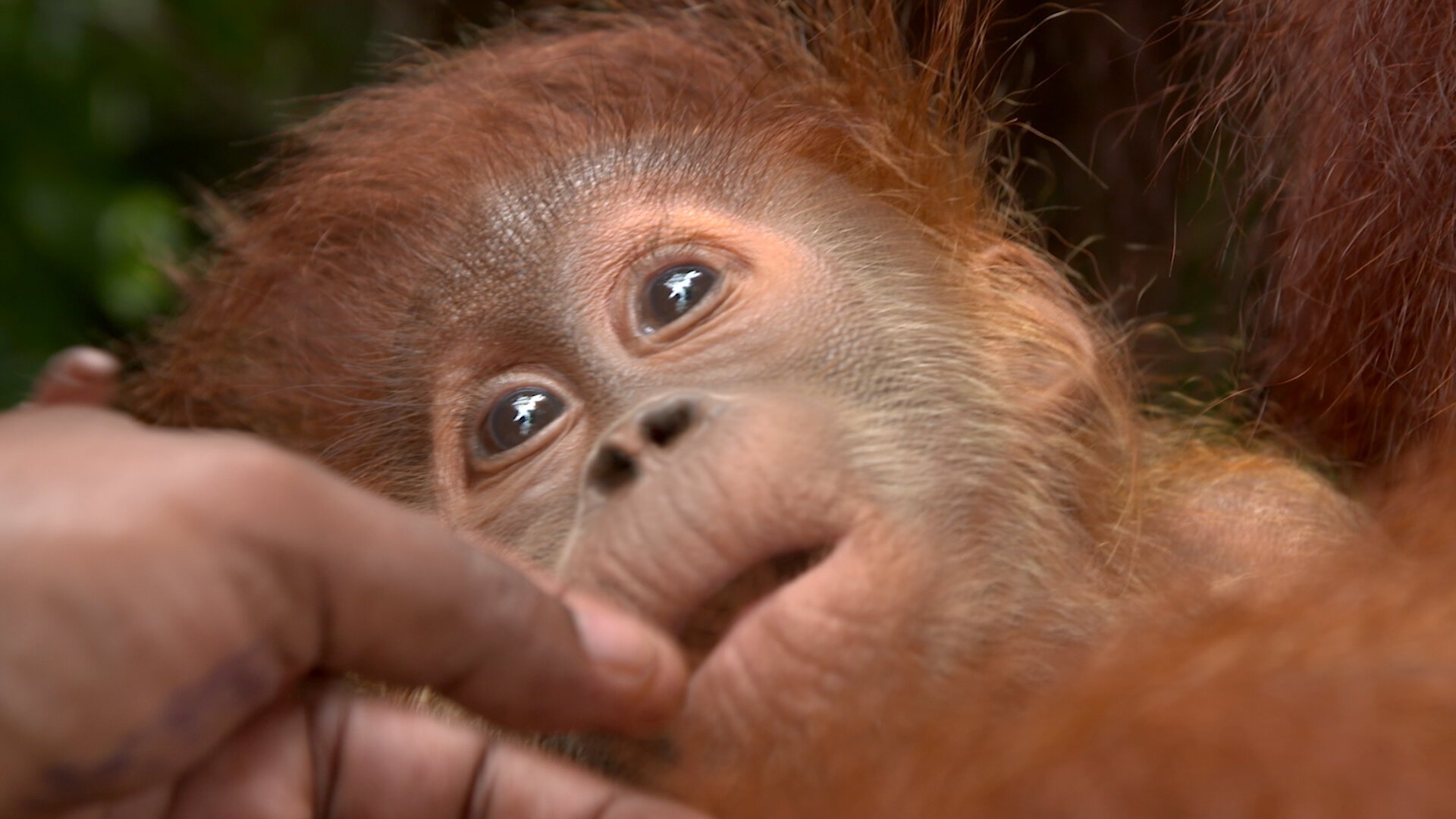 Thumbnail for Small and Tall Season 1 Episode 4