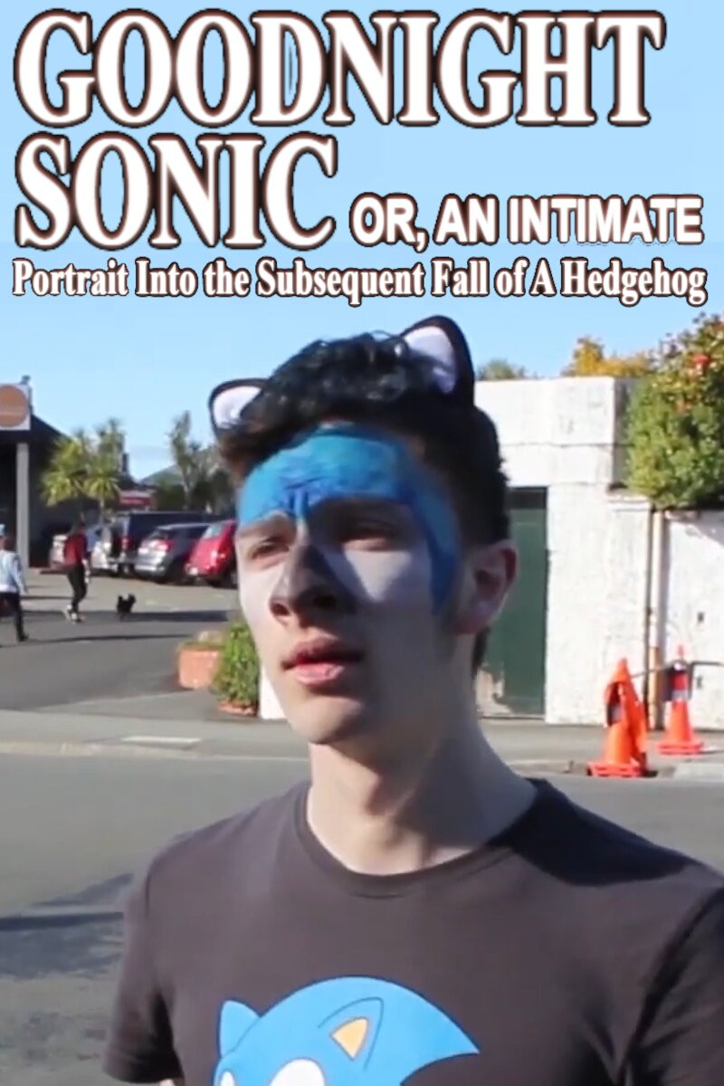 Goodnight Sonic - An Intimate Portrait Into the Subsequent Fall of A Hedgehog