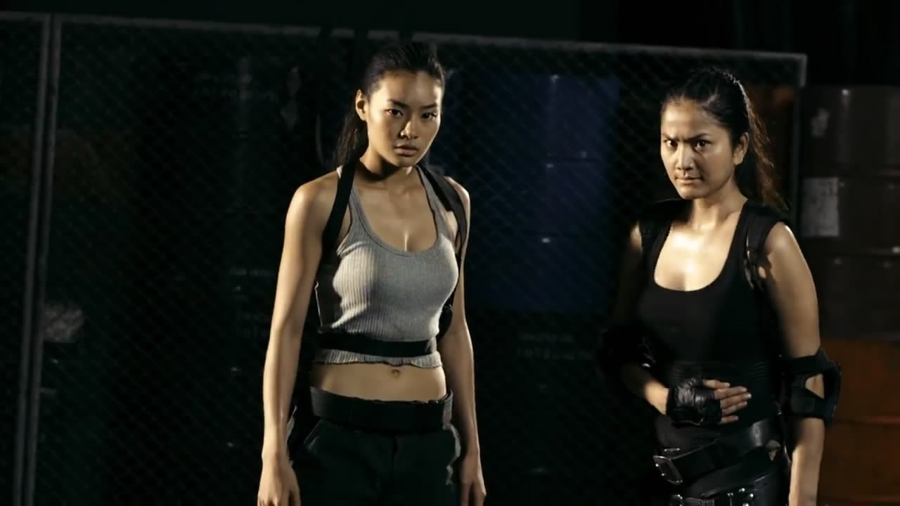 The Vanquisher (2009)