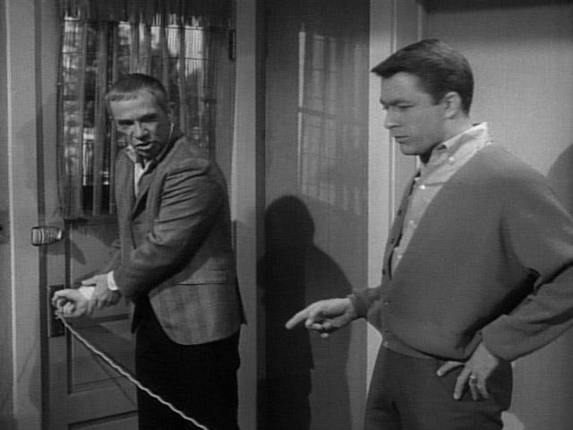 My Favorite Martian