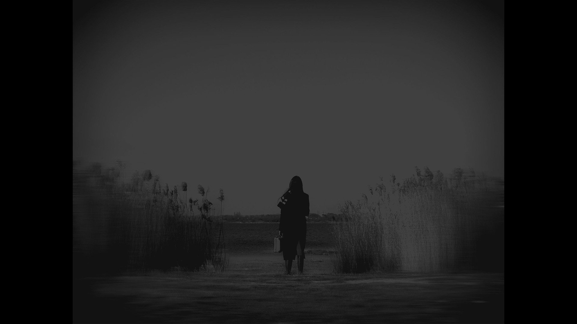 Last Night in Communism