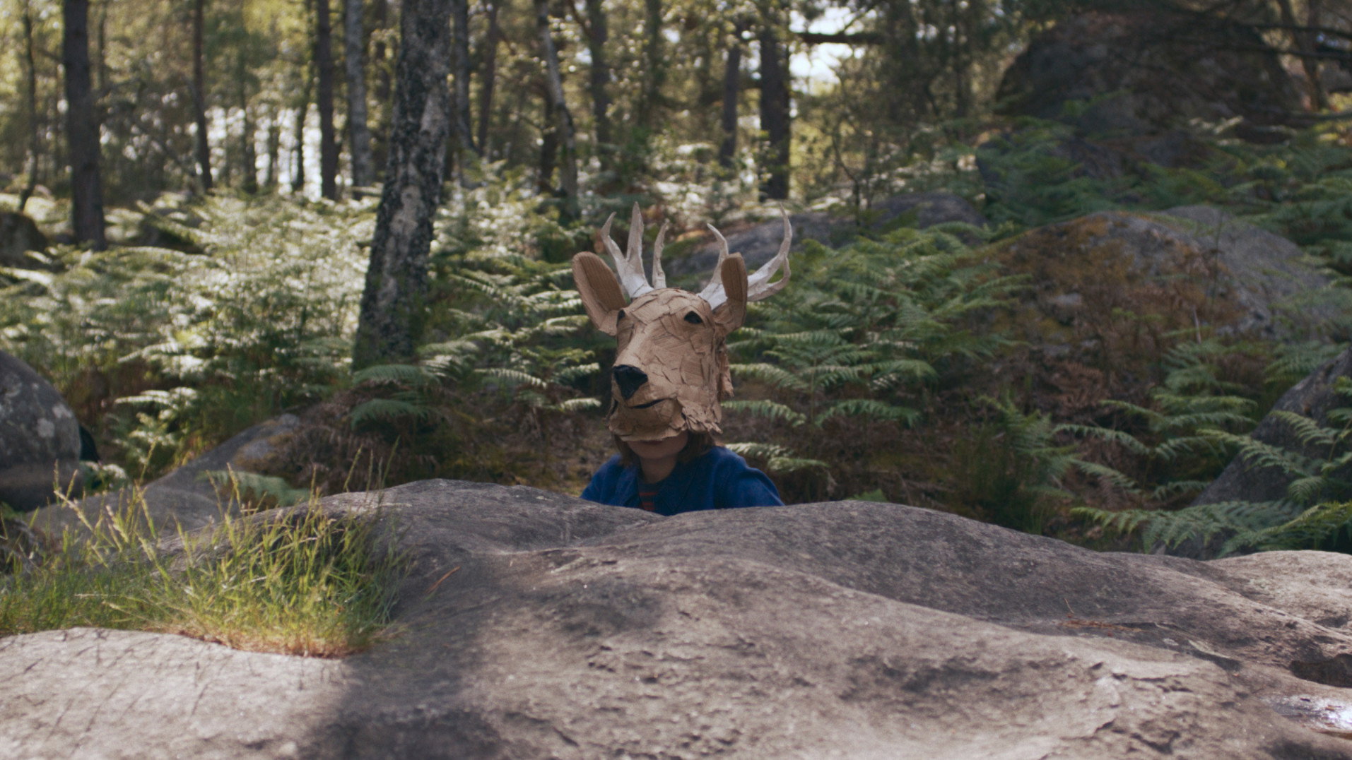 Cosmos Melancolia Backdrop Blur