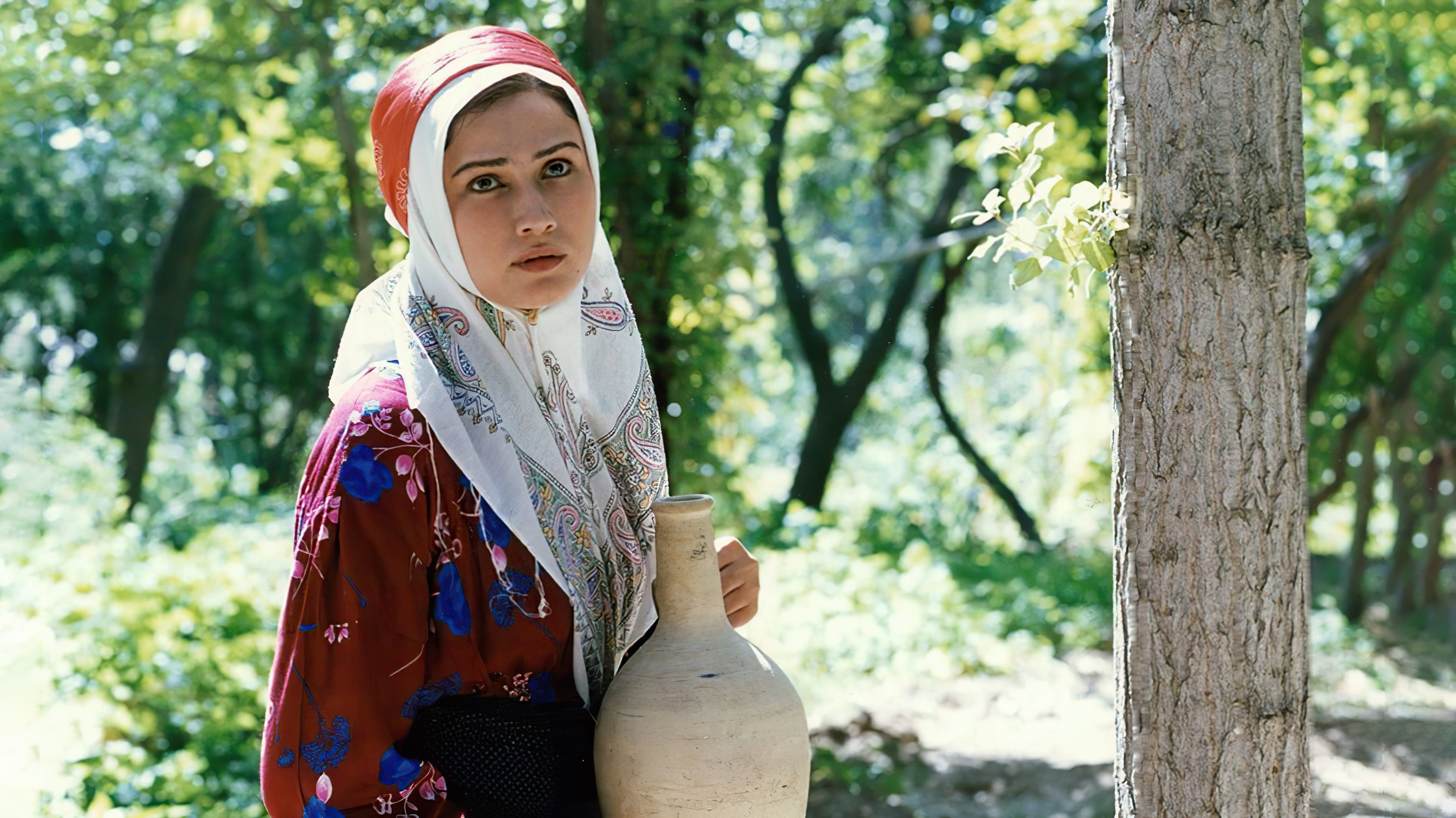 The Walnut Harvest (2003)