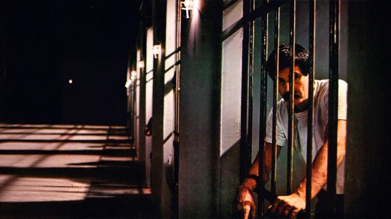 Yağmur Kaçakları (1987)