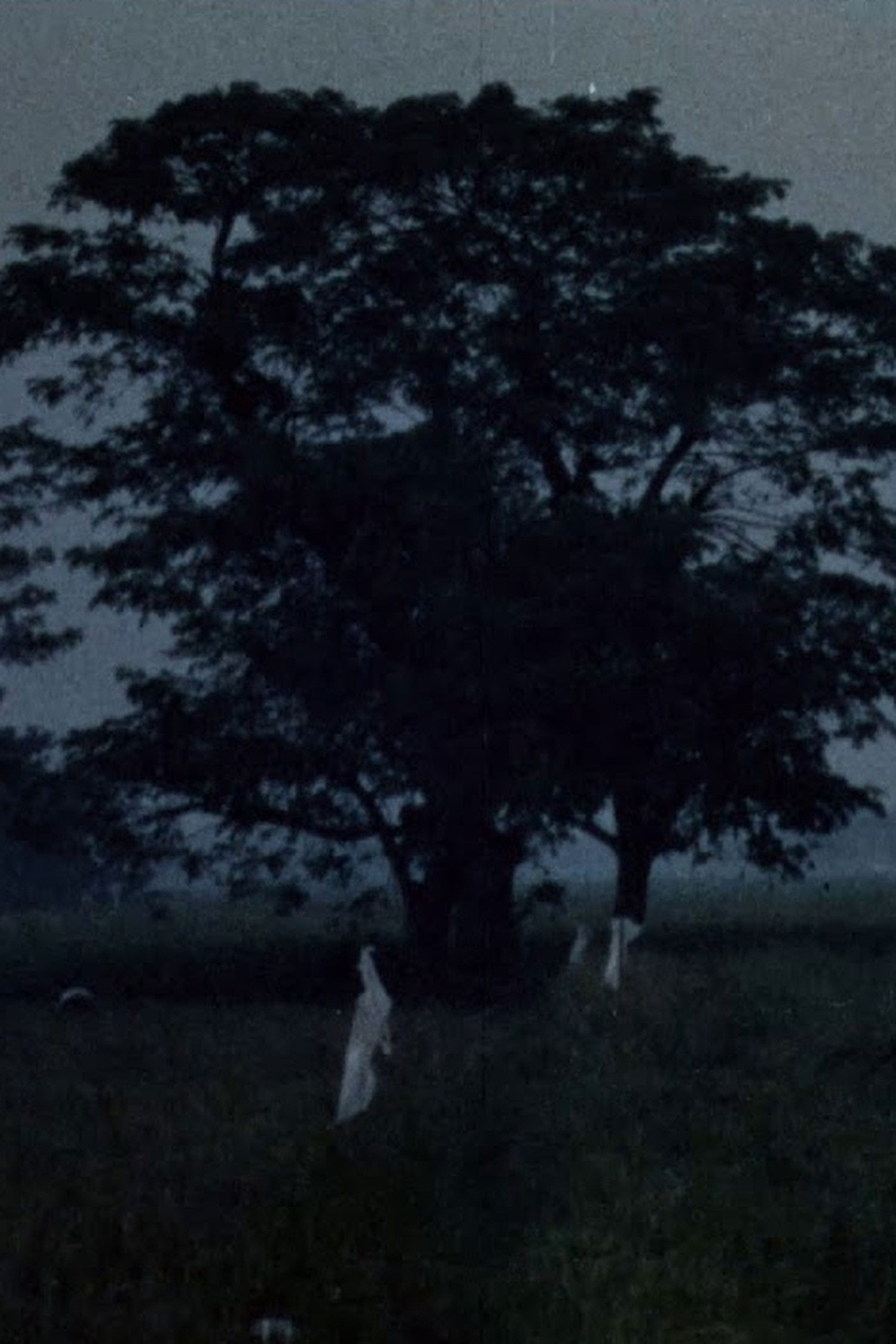 Ceasefire: Countrysides Poster