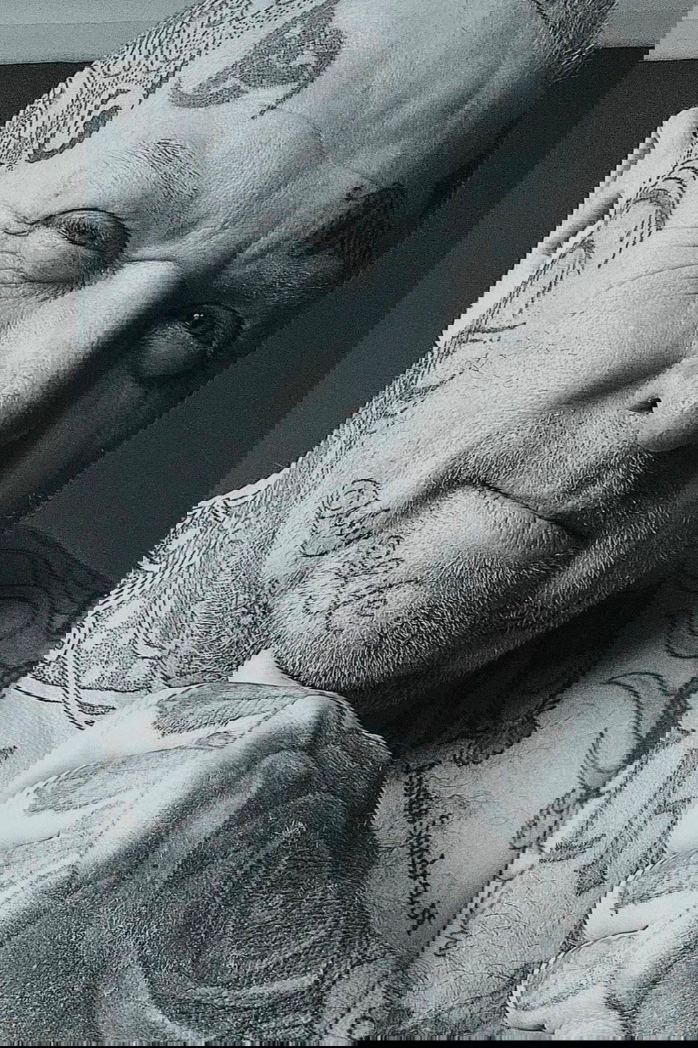 et billede af Chris Shipton