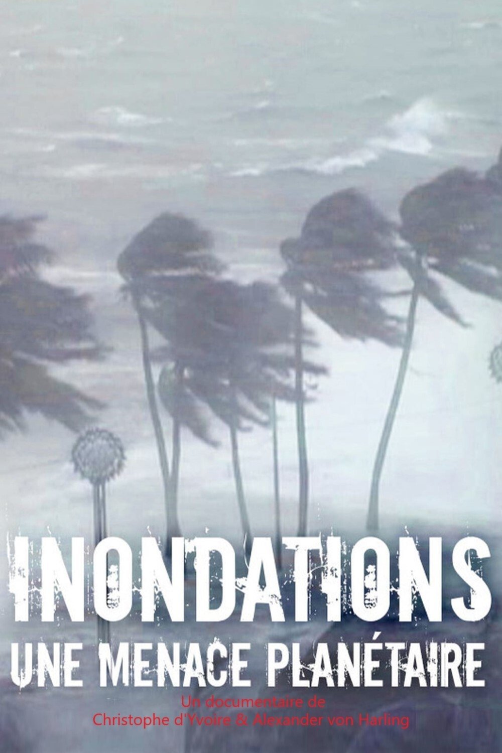 Inondations : une menace planétaire