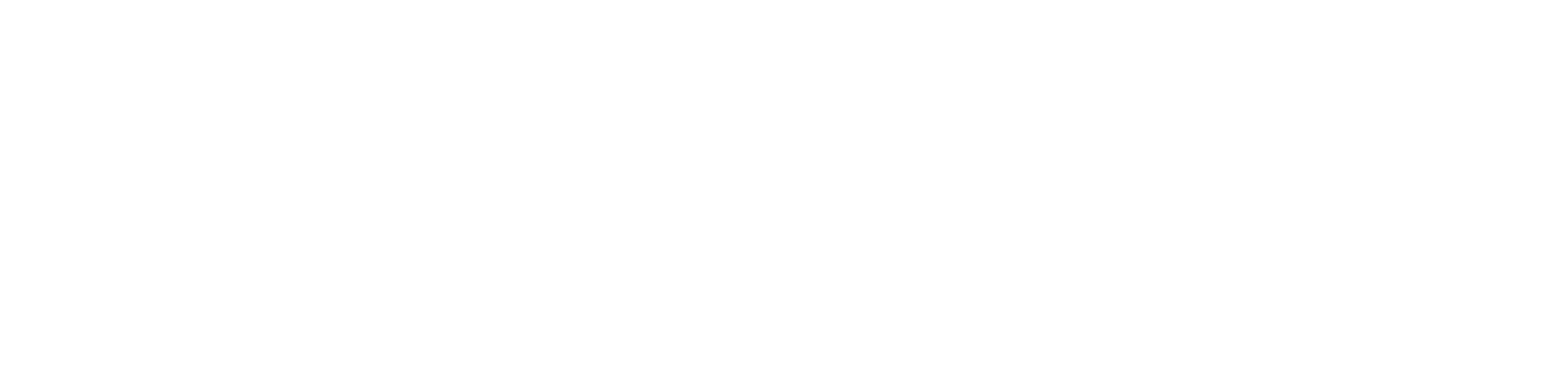 Summer Rain Logo