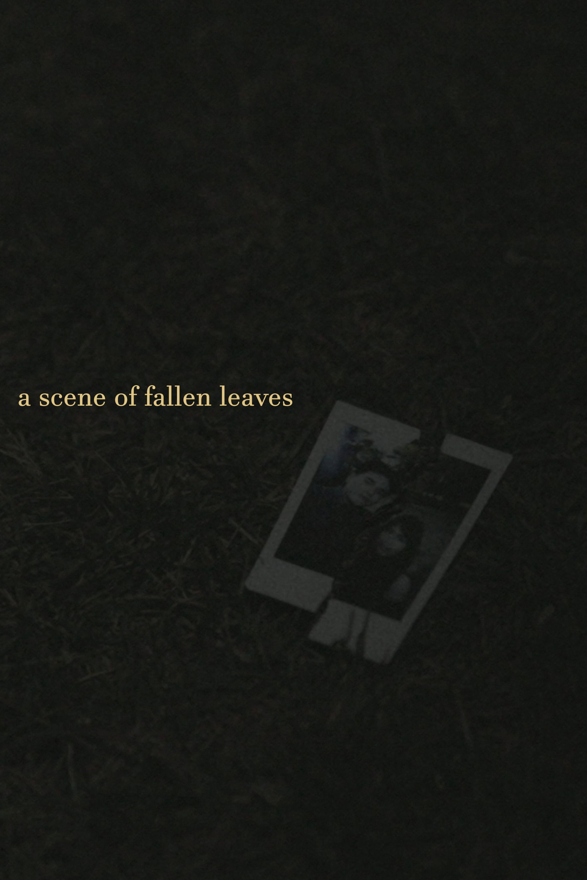 a scene of fallen leaves Poster