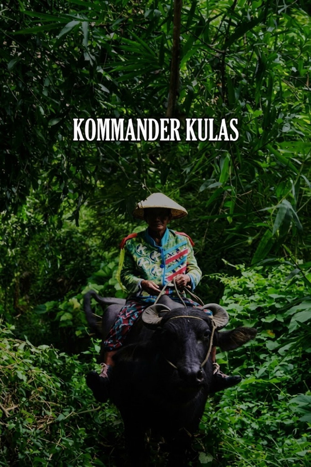 Ang kaisa-isang konsiyerto ng kagila-gilalas na kombo ni Kumander Kulas at ng kanyang kawawang kalabaw sa walang katapusang kalsada ng Kamyas