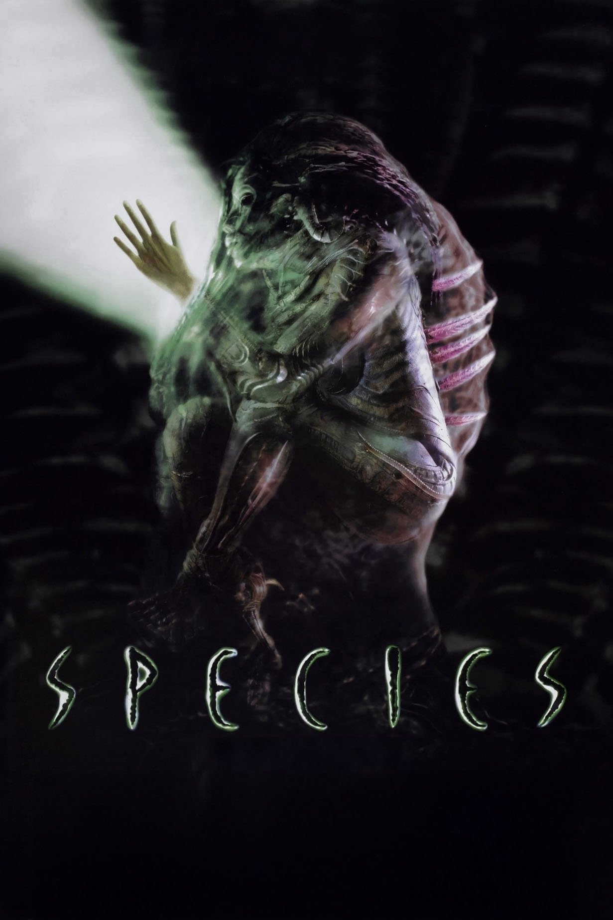 Species