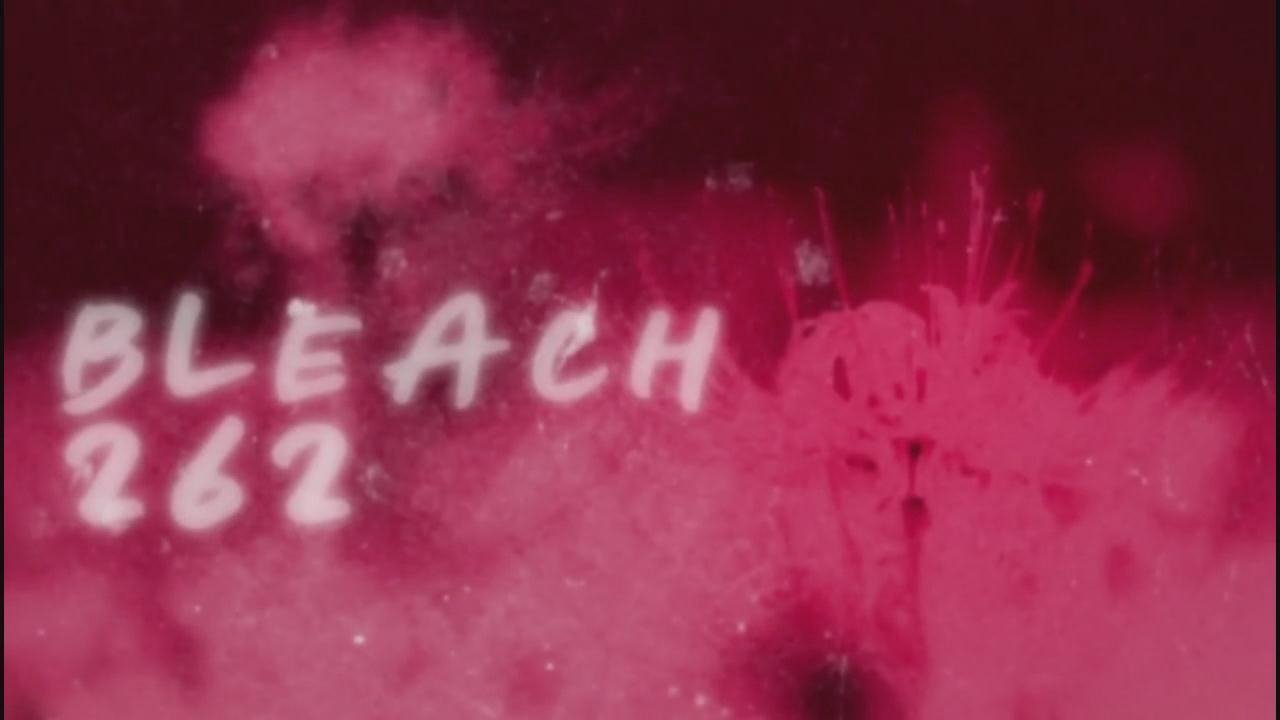 Bleach Staffel 1 :Folge 262 