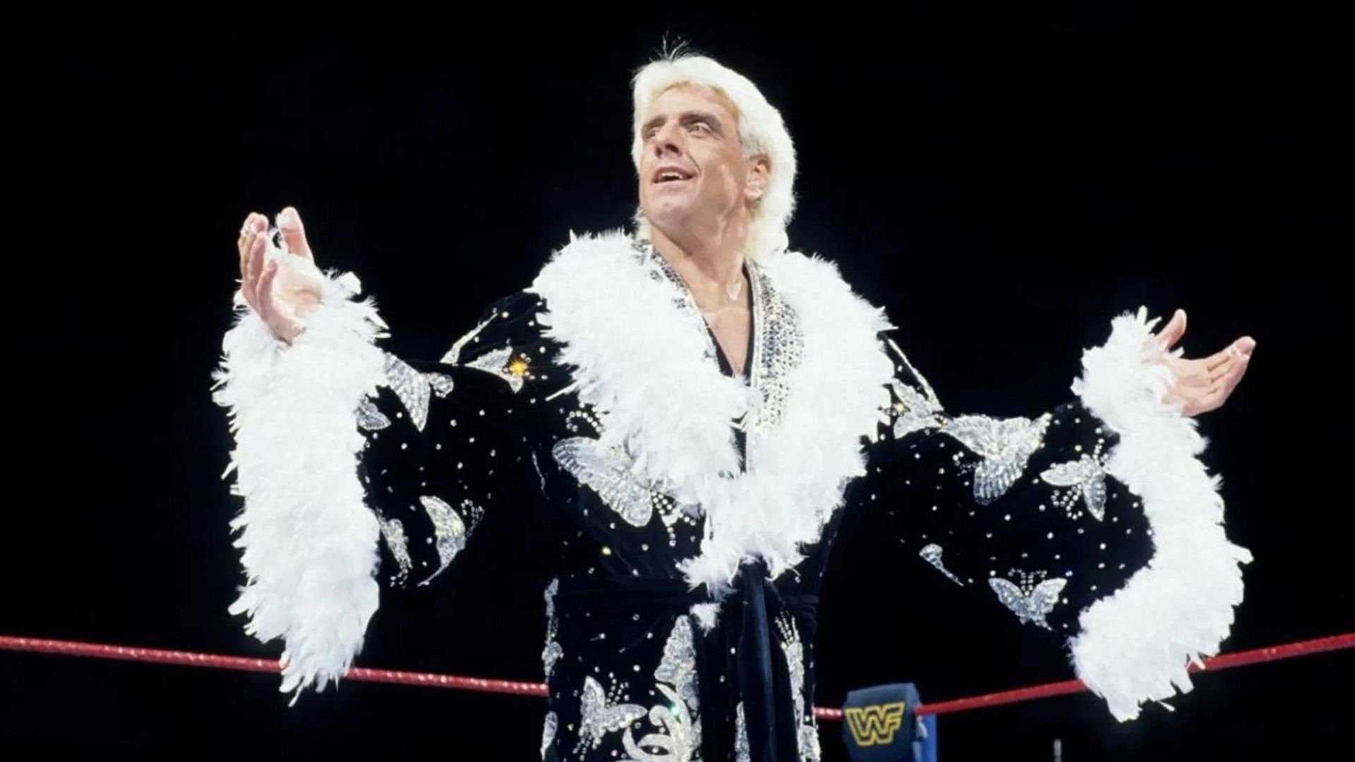 WWE Evil