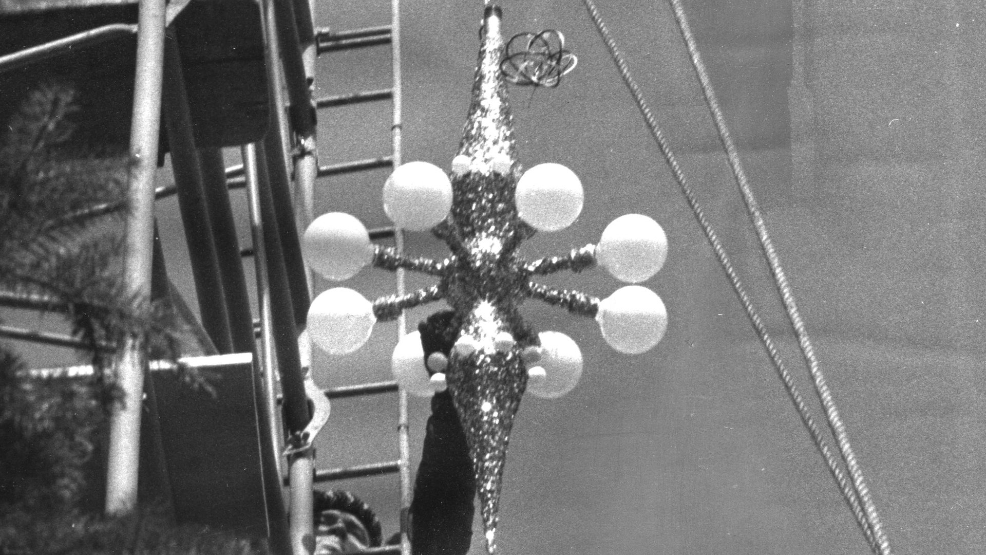 The National Christmas Tree, A Century of Celebration