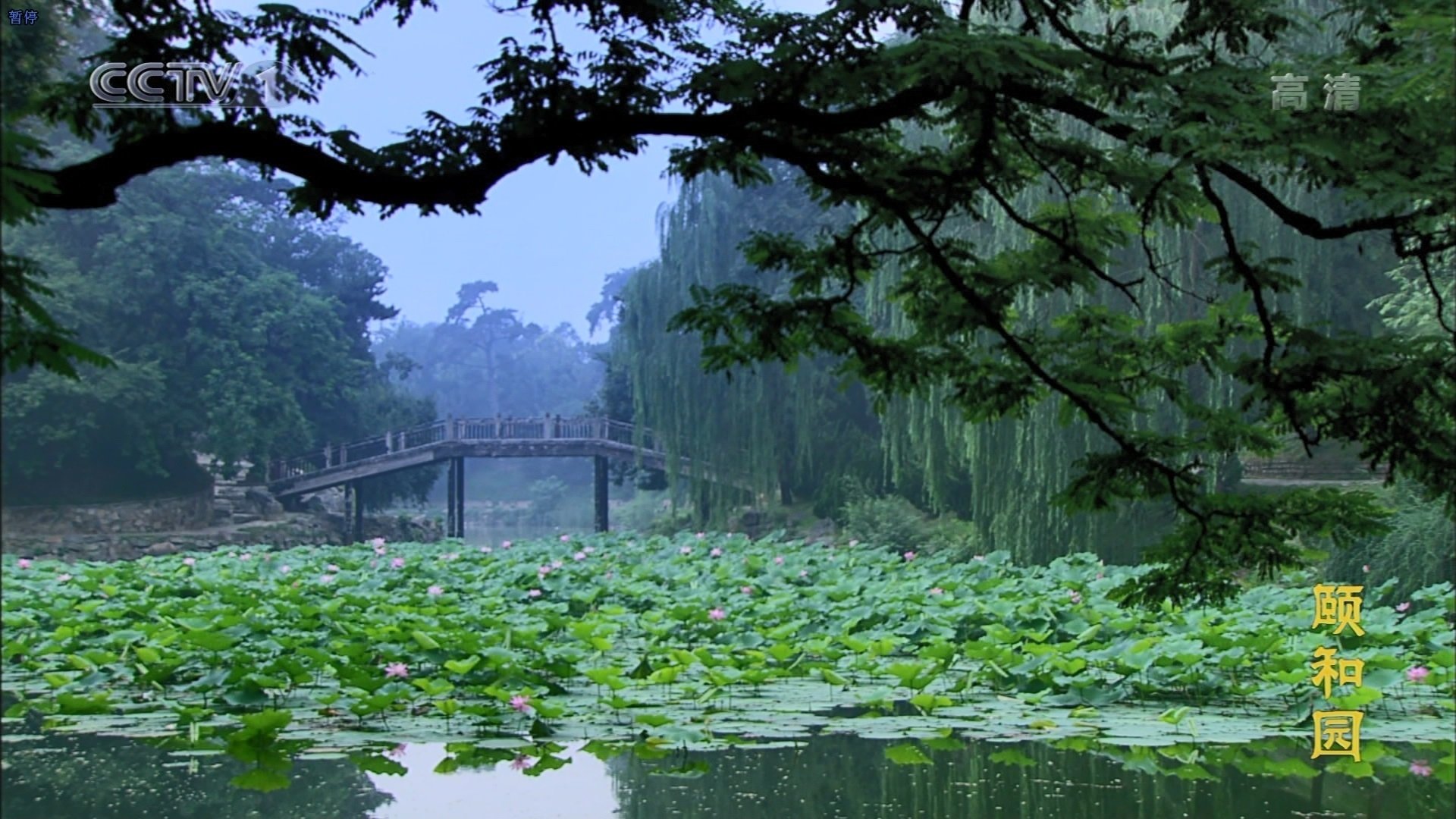 Summer Palace