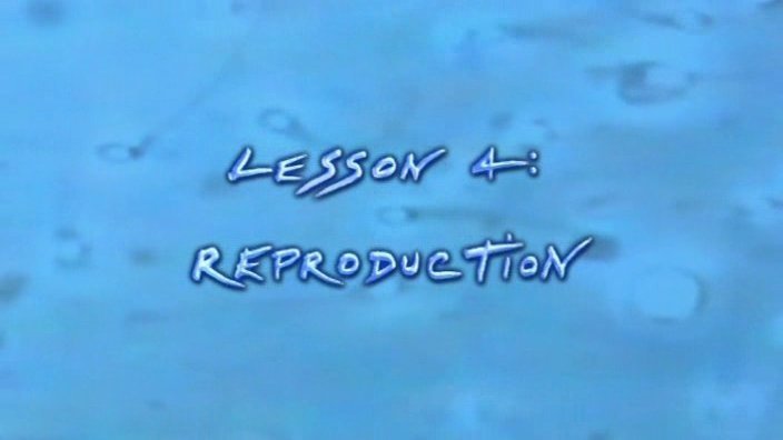 Anatomy for Beginners - Épisode 4