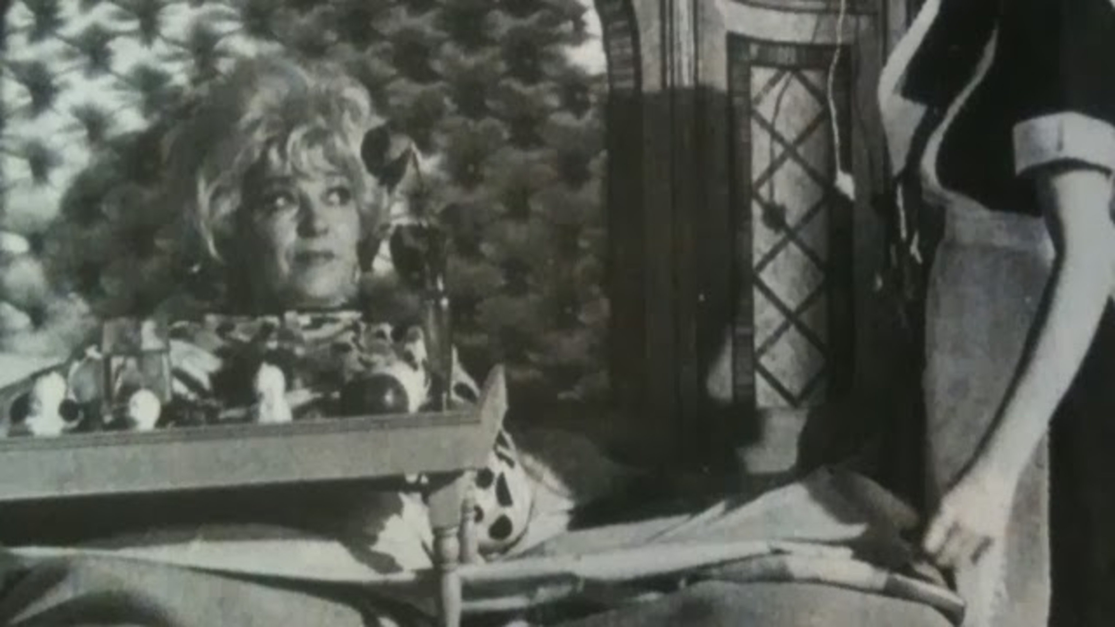 Love Love Love (1965)