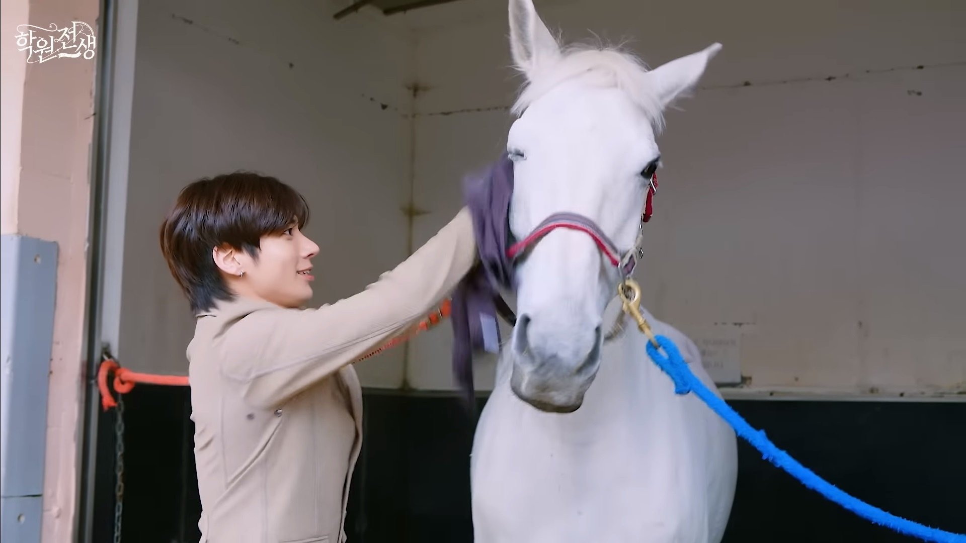 Thumbnail for The prince cleaning up horse manure Season 1 Episode 12