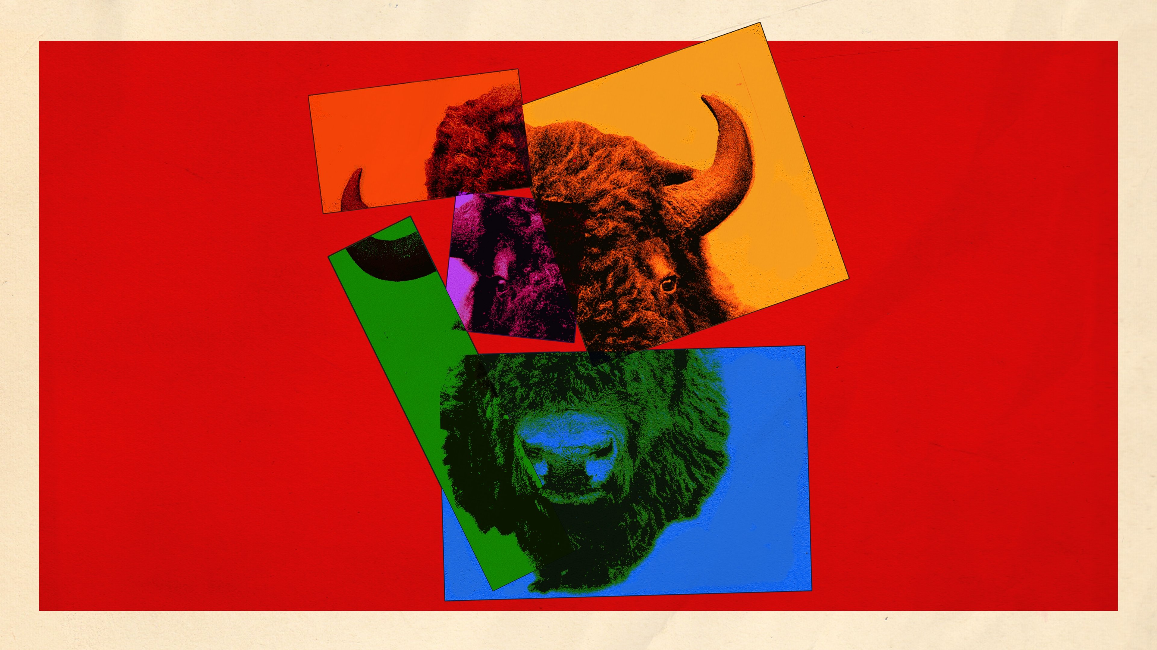 Imagem do Filme The Buffalo Hunt