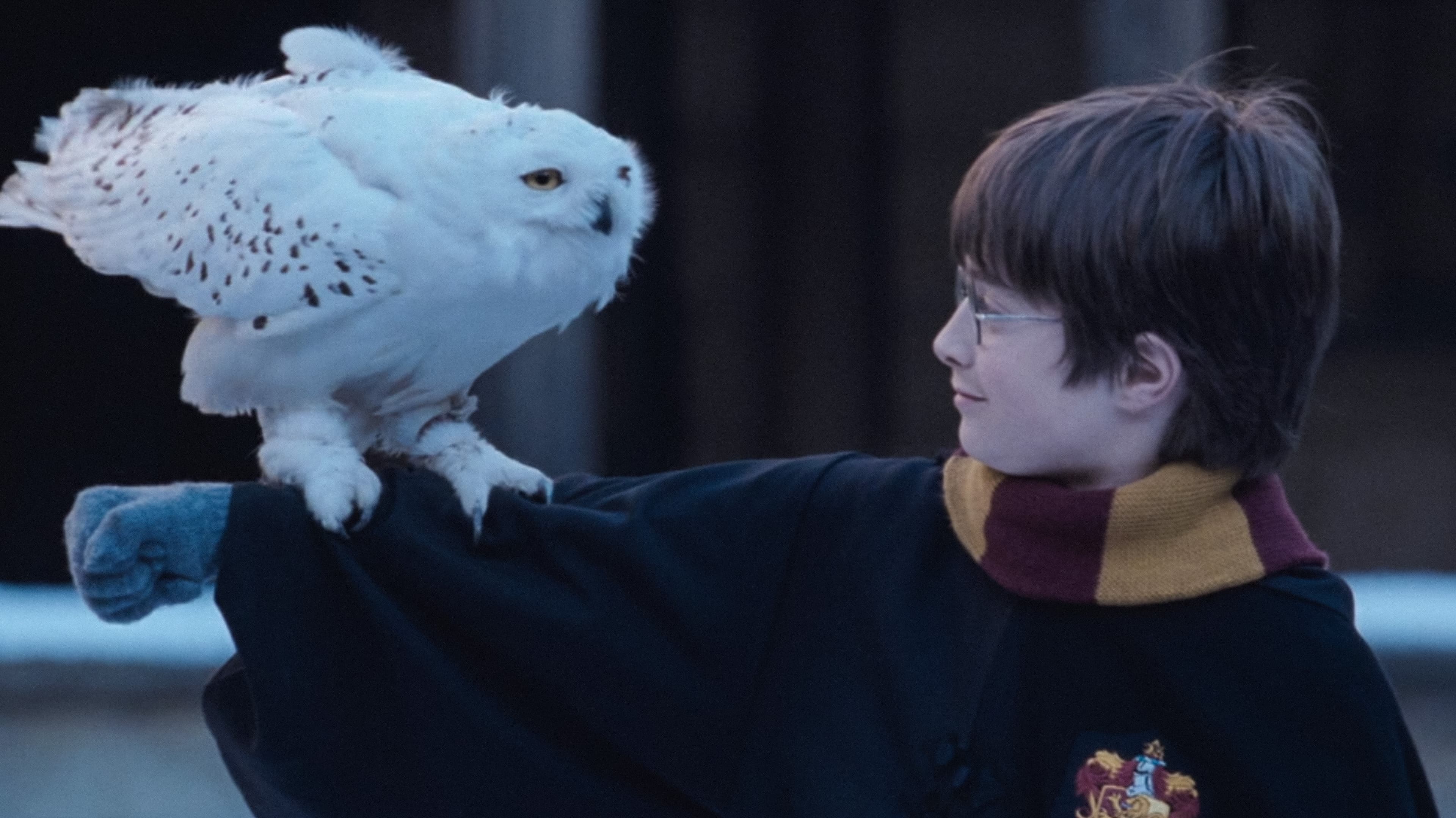 Image du film Harry Potter à l'école des sorciers dheweoqeqfxi0ythjwt9clzchnmjpg