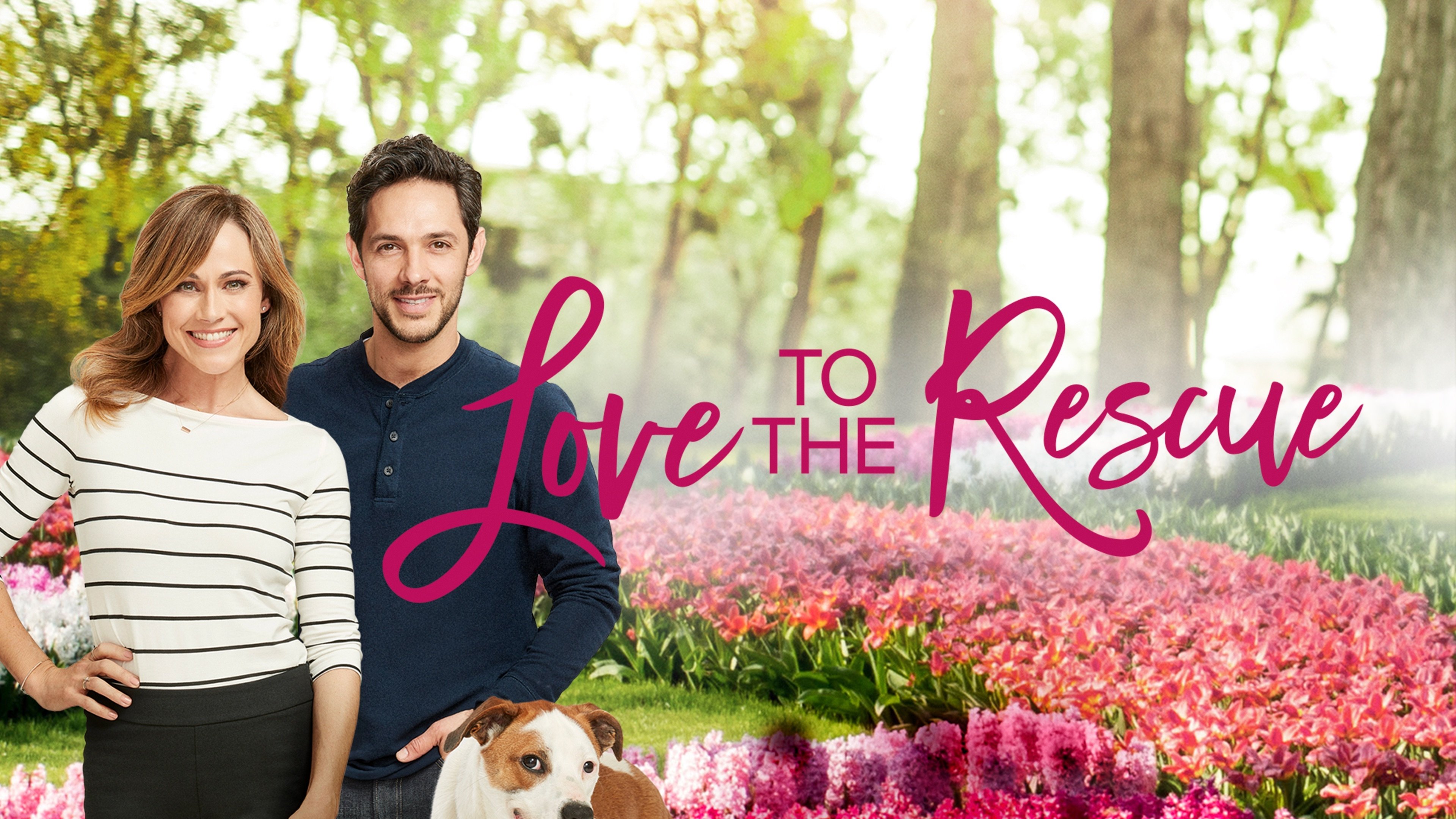 Love to the Rescue