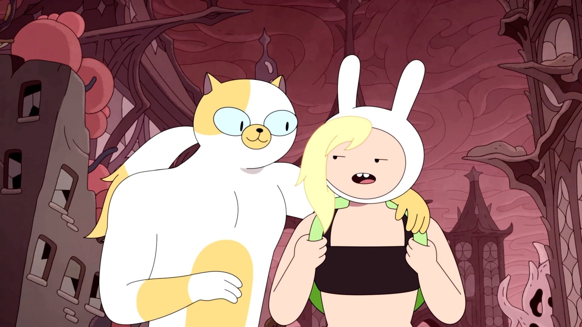 Hora de Aventura com Fionna & Cake