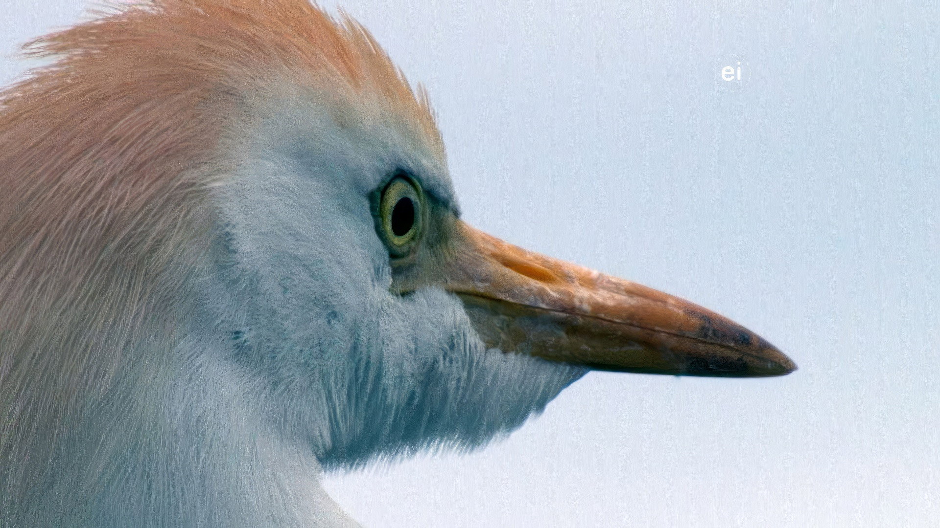 Earth Odyssey with Dylan Dreyer S05E26 backdrop
