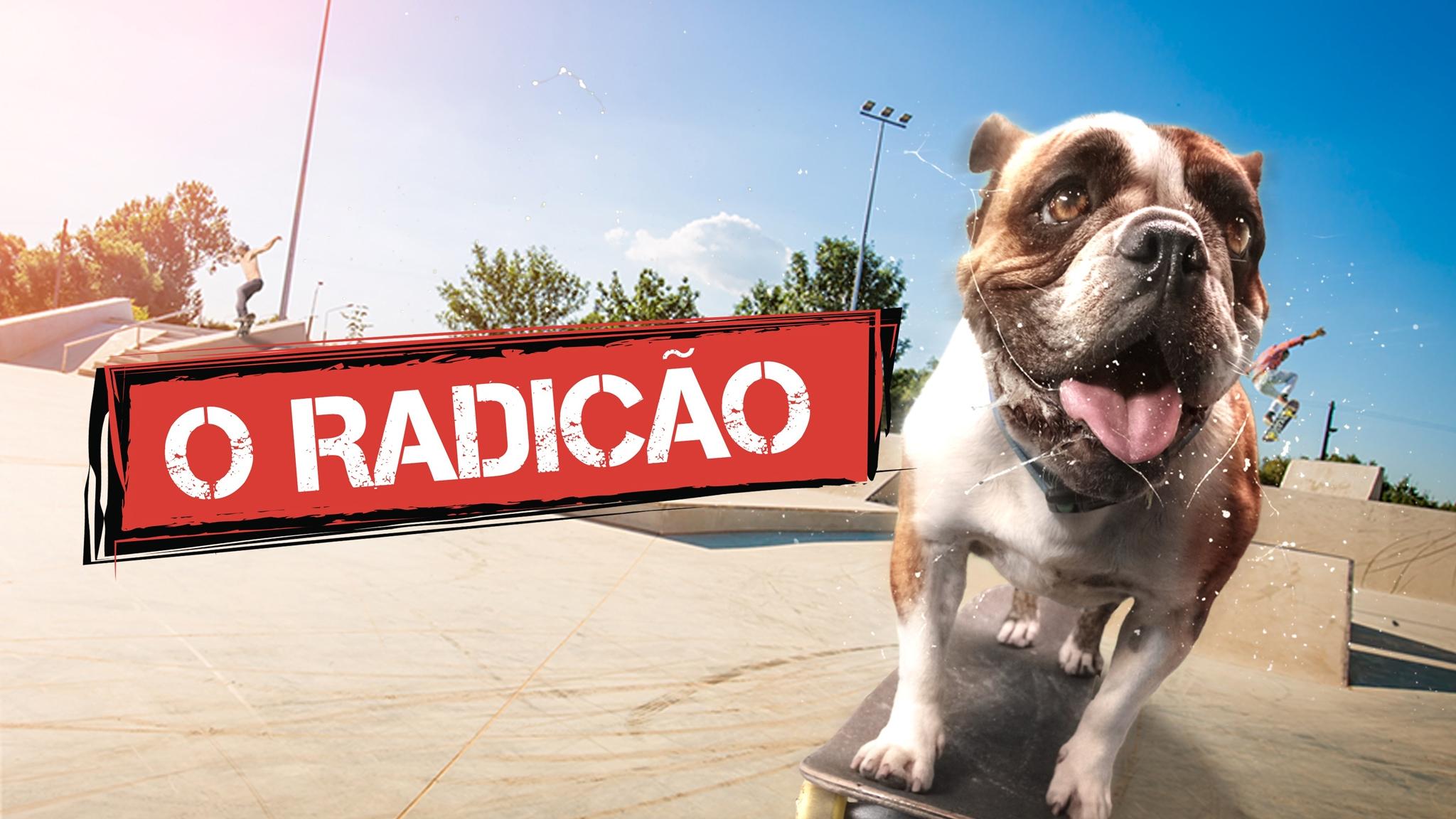 Sk8 Dawg (2018)