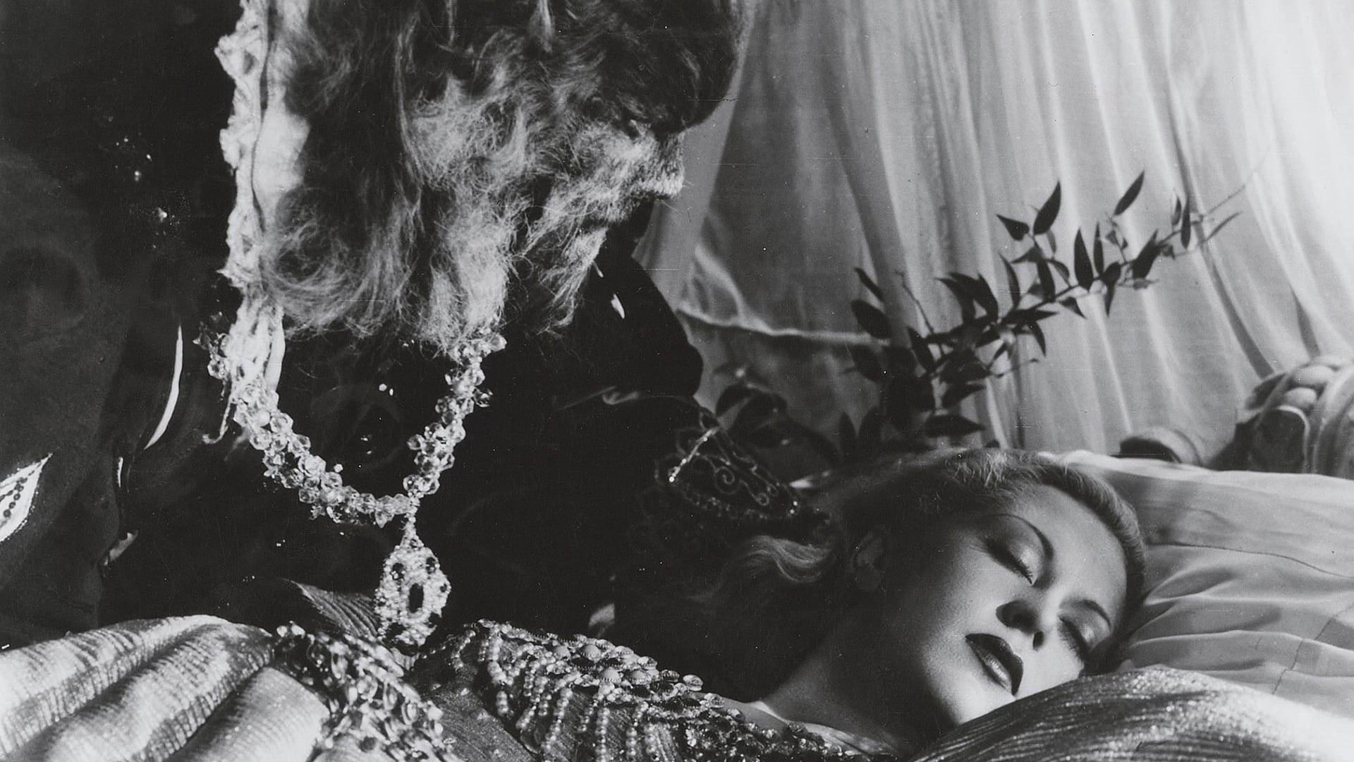 Image du film La Belle et la Bête djvuq2w6sa2duhlivuahqhr01tijpg