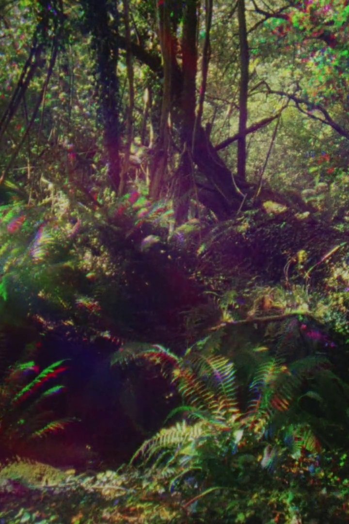 Look Then Below streaming
