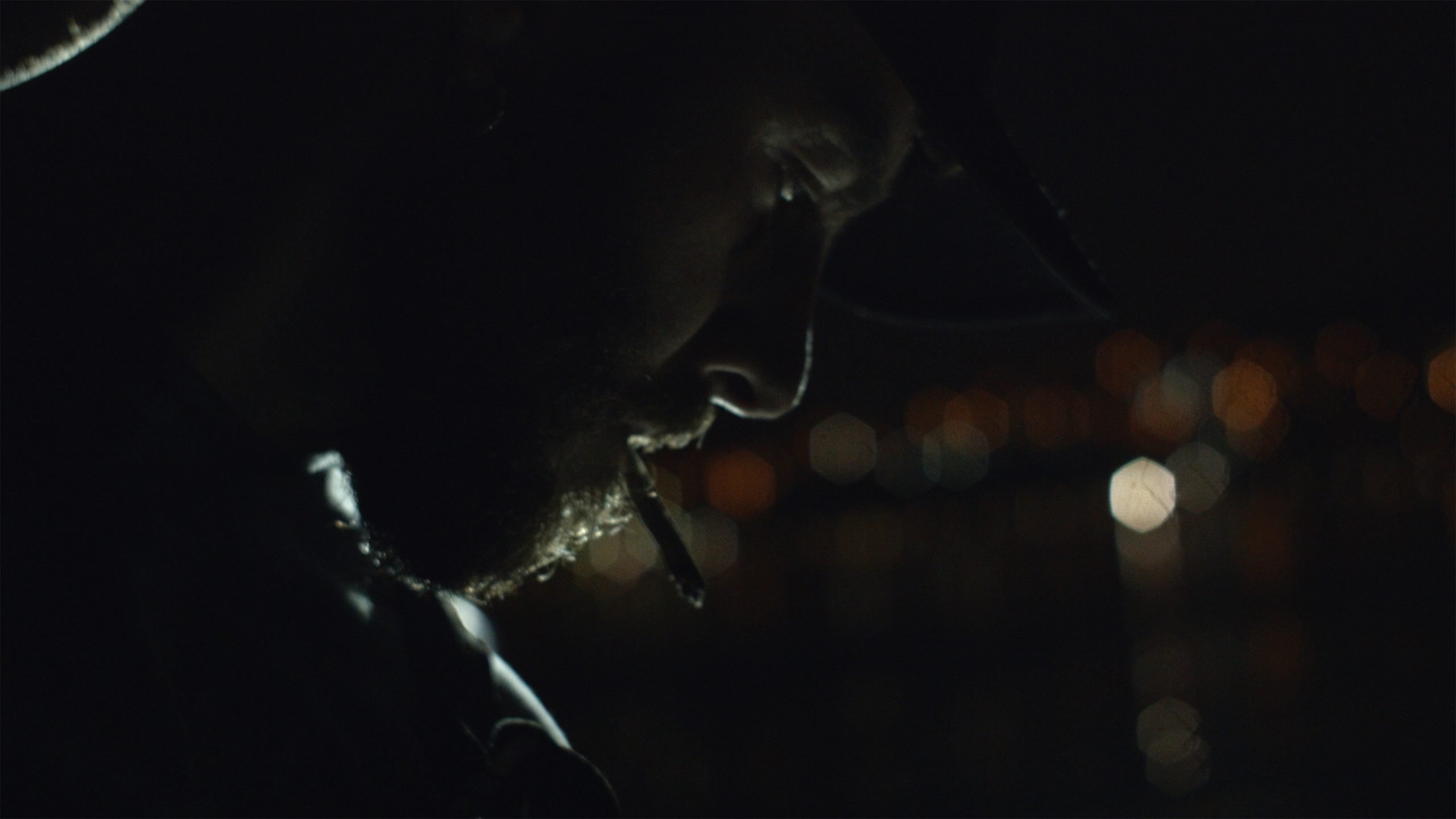 Tattooed on Our Eyes We Carry the Aftertaste (2022)