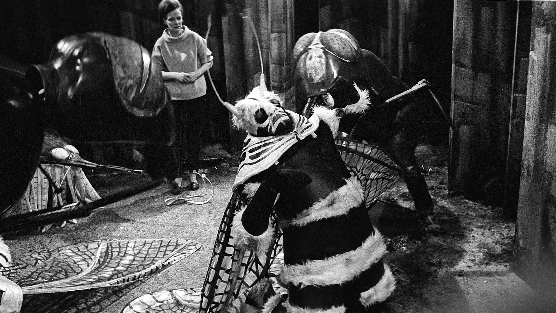 Doctor Who Staffel 2 :Folge 21 