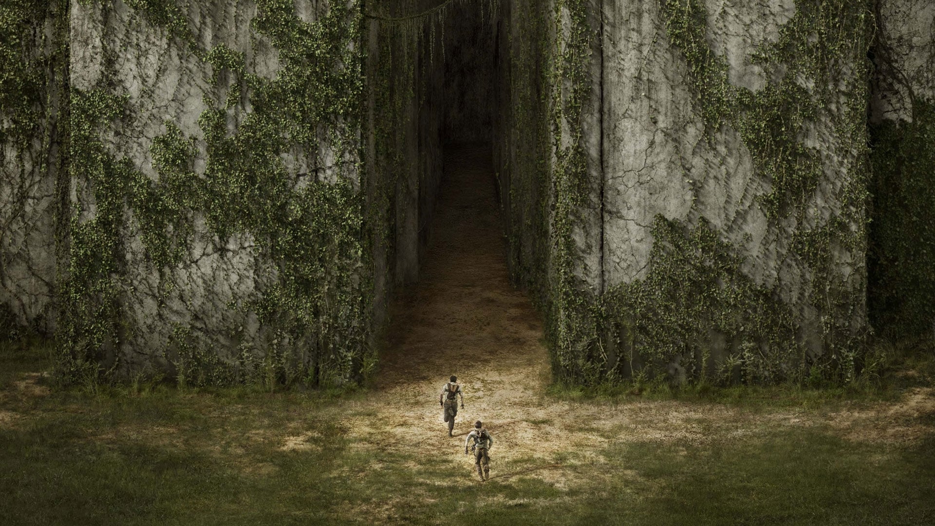 The Maze Runner (2014)