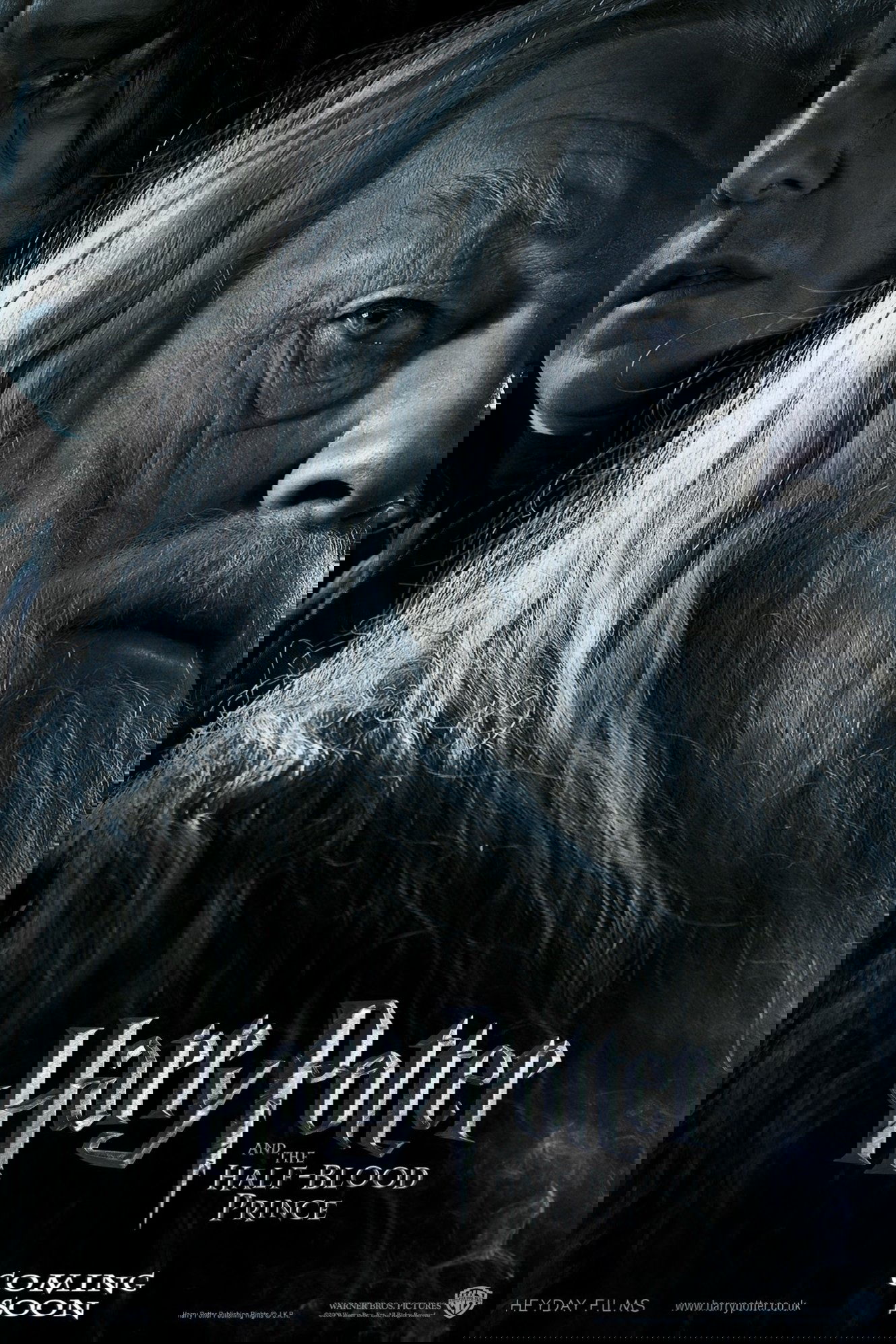 Harry Potter and the Half-Blood Prince