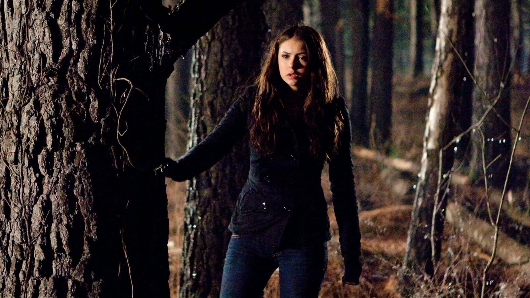 The Vampire Diaries Season 1 :Episode 17  Let the Right One In