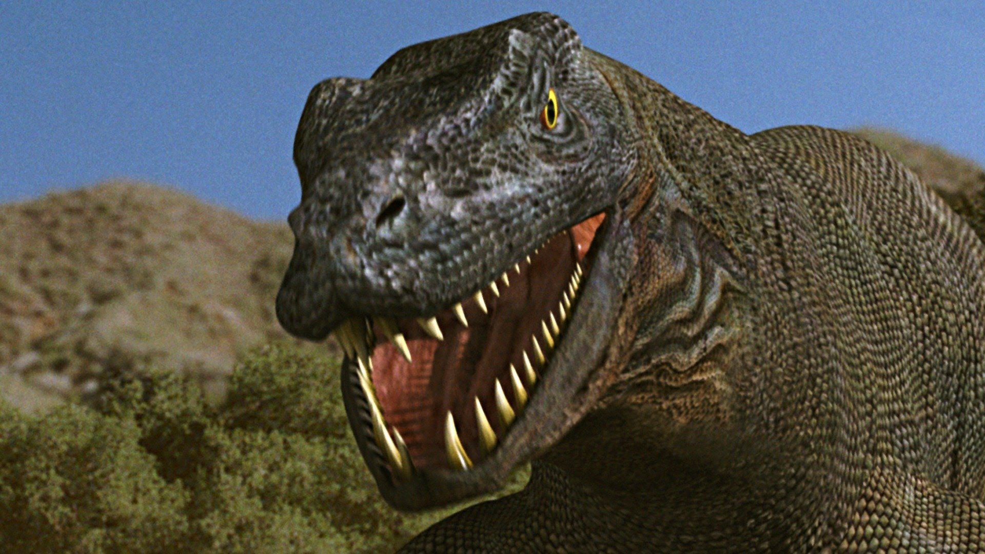 The Curse of the Komodo (2004)