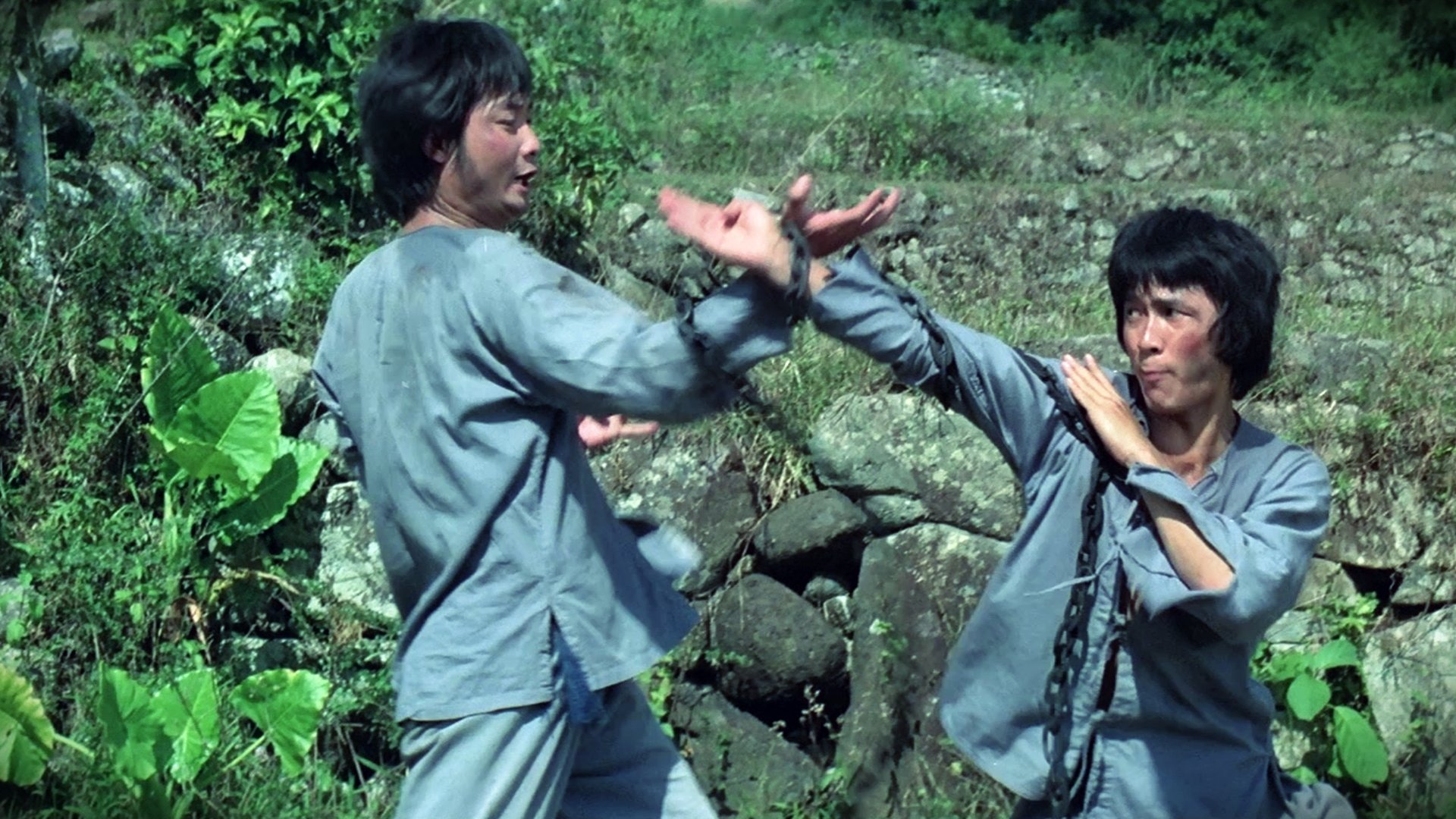 Monkey Kung Fu (1979)