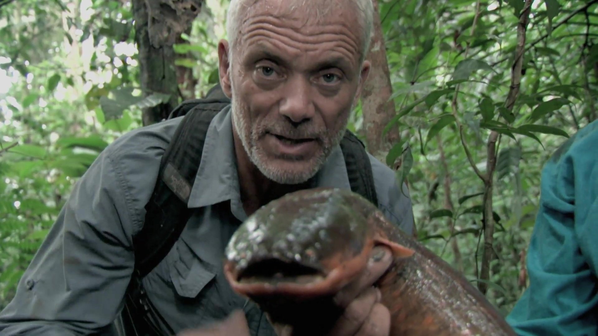 River Monsters