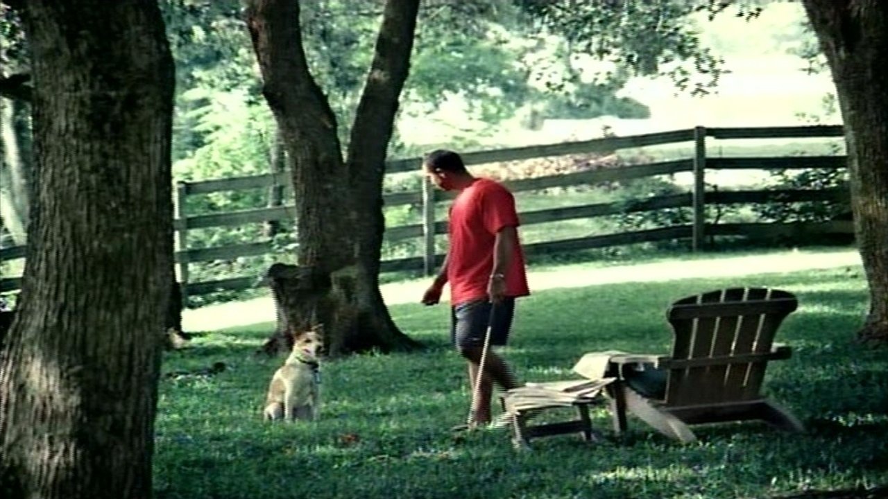 Thumbnail for Tiger's Prints - Tiger's Spots Season 0 Episode 6