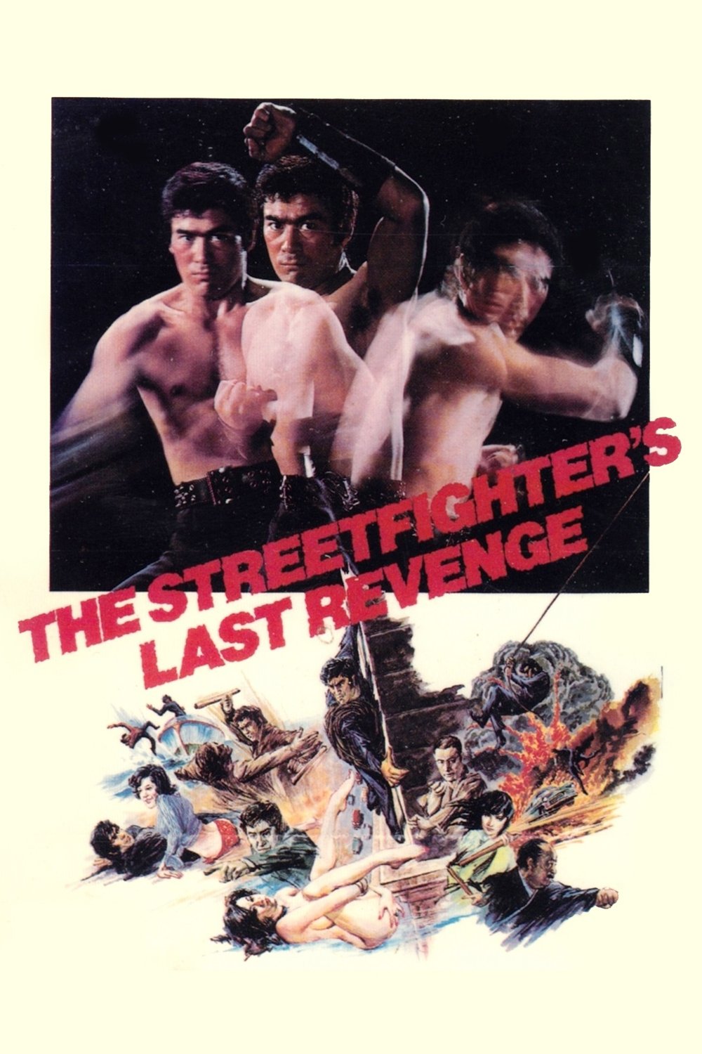 The Street Fighter's Last Revenge