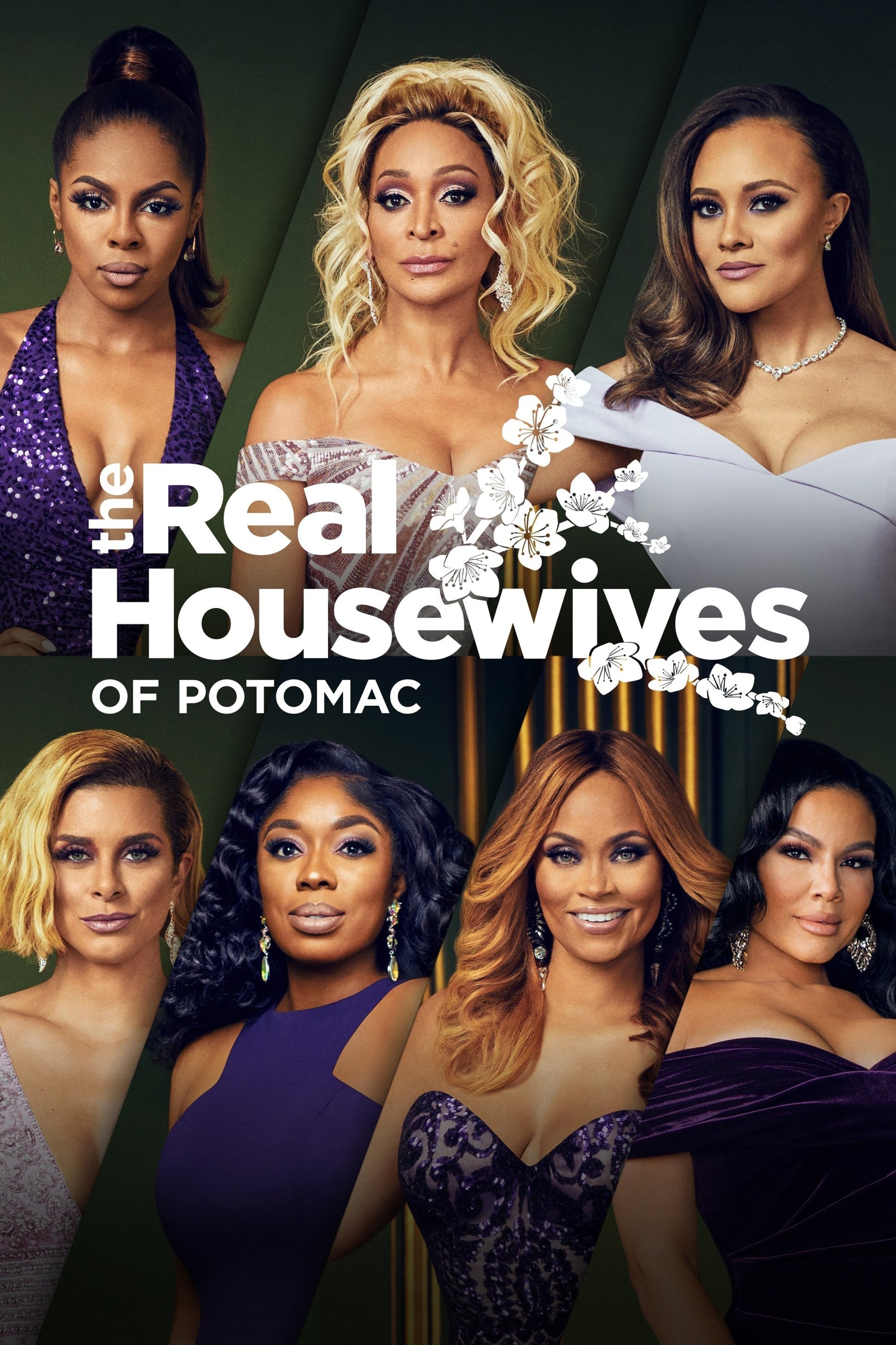 The Real Housewives of Potomac poster