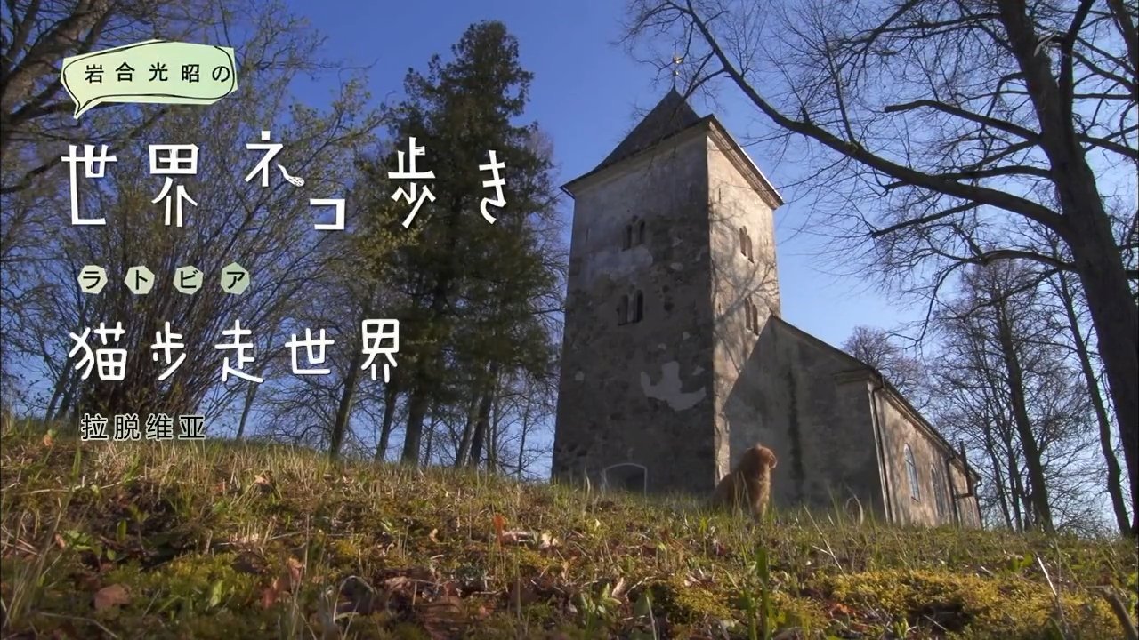 Episode 39