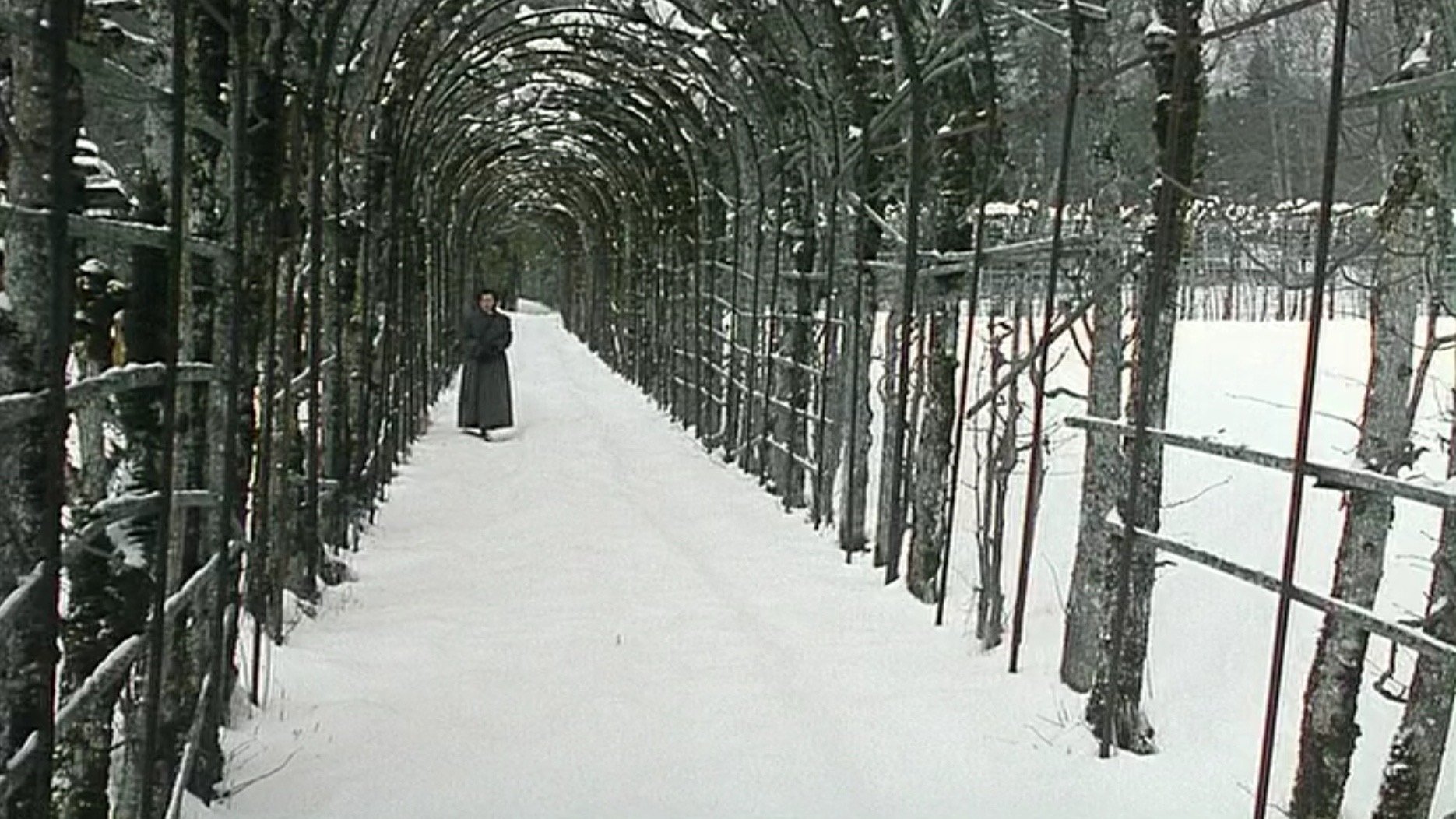 Ludwig 1881 (1993)