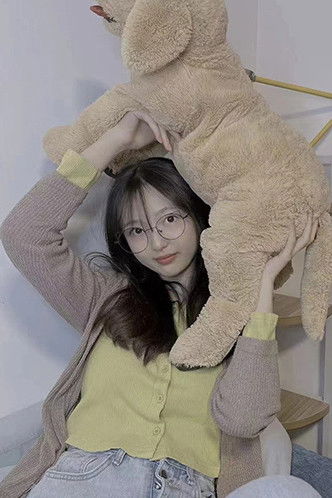 et billede af 刘知否