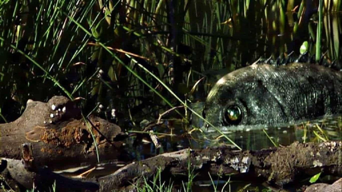 Razortooth (2007)