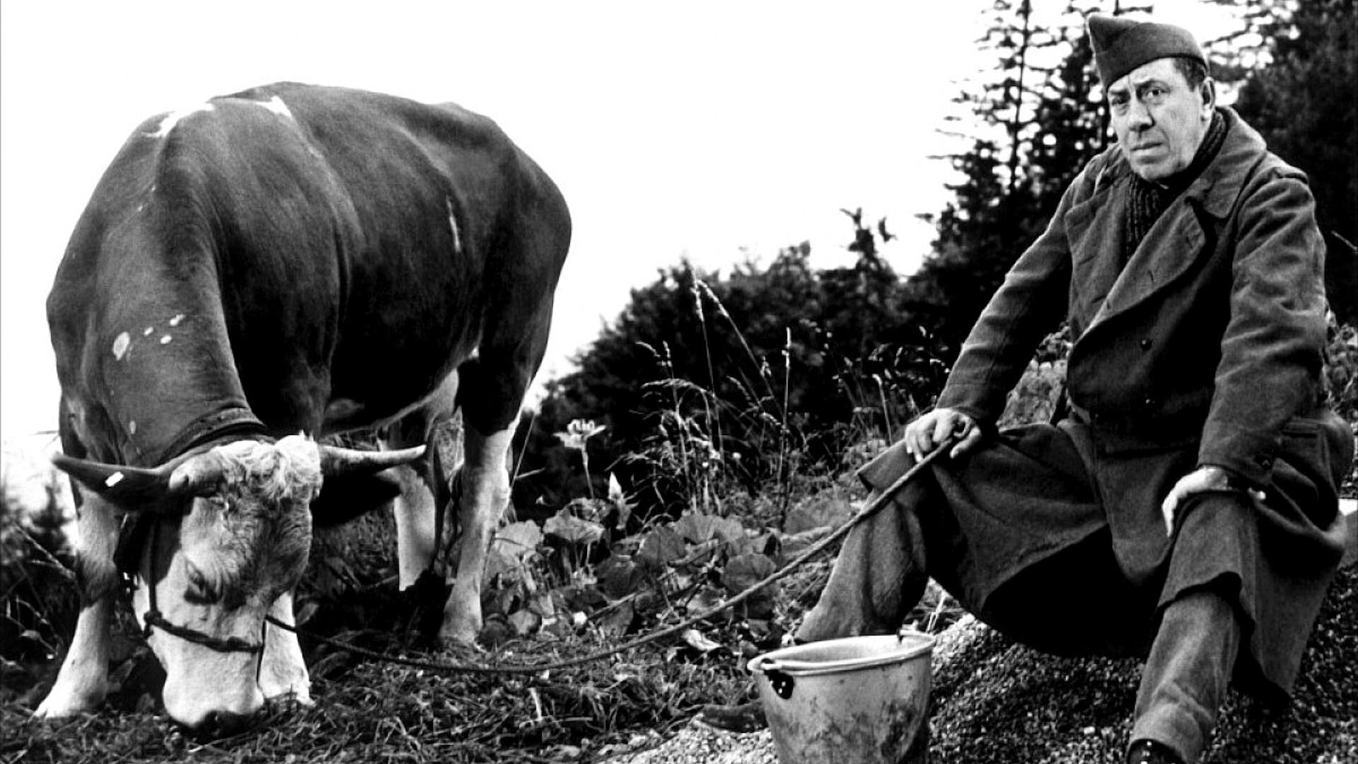 La Vache et le Prisonnier (1959)