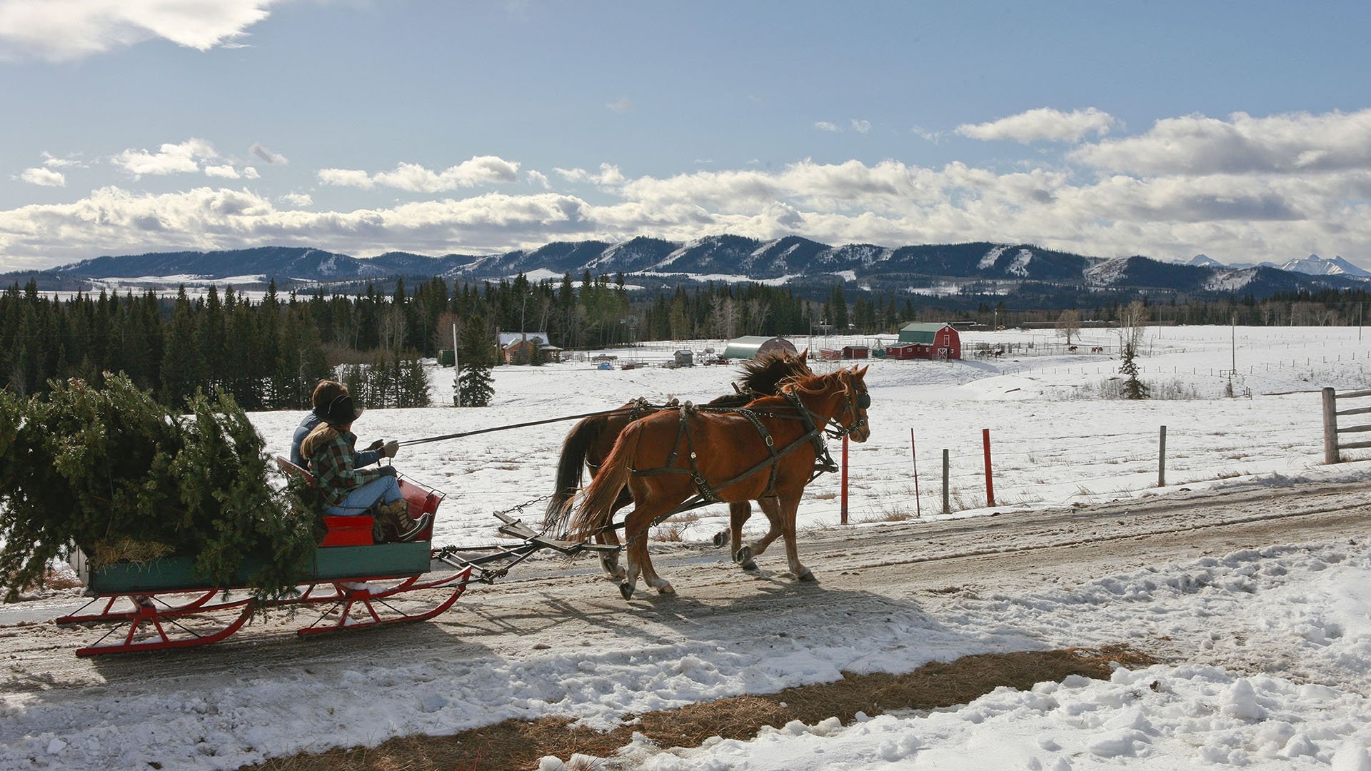 Heartland - Paradies für Pferde Staffel 0 :Folge 1 